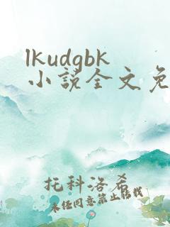 lkudgbk小说全文免费阅读笔趣阁无弹窗