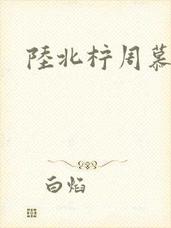 陆北柠周慕深