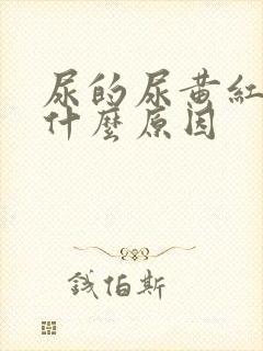 尿的尿黄红色是什么原因