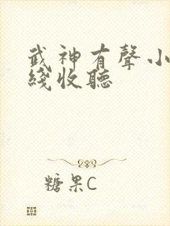 武神有声小说在线收听