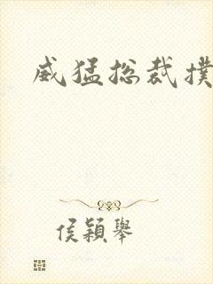 威猛总裁扑娇妻