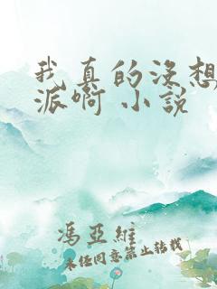 我真的没想当反派啊 小说