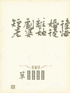 短剧离婚后总裁老婆她后悔了