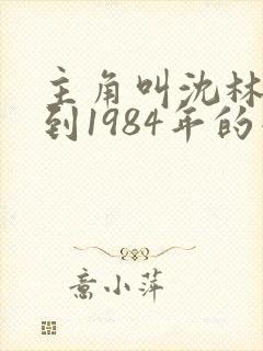 主角叫沈林重生到1984年的小说