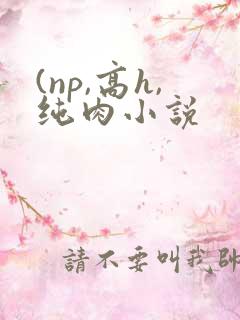 (np,高h,纯肉小说
