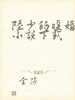 陆少的暖婚新妻小说下载