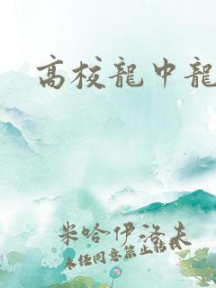 高校龙中龙下载