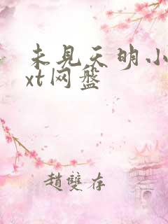 未见天明小说txt网盘