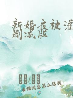 新婚夜被灌醉无删减版