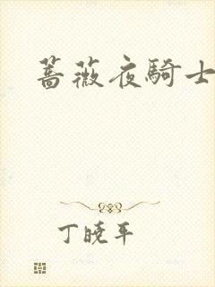 蔷薇夜骑士