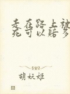 走在路上被车撞死可以赔多少钱