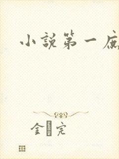 小说第一庶女