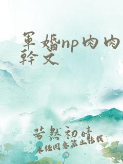 军婚np肉肉高干文