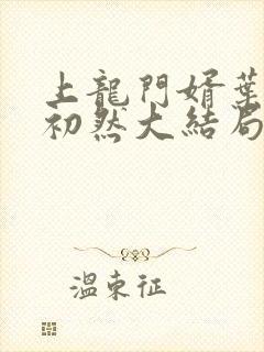 上龙门婿叶辰萧初然大结局