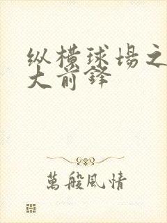 纵横球场之暴力大前锋