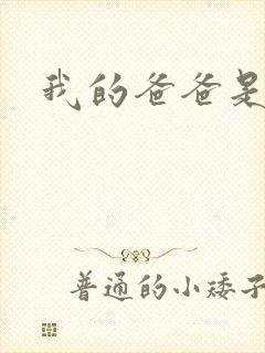 我的爸爸是幽灵