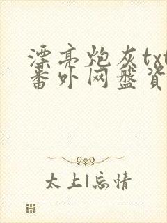 漂亮炮灰txt番外网盘资源