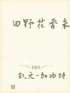 田野花香未删节