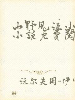 山野风流小神医小说免费阅读