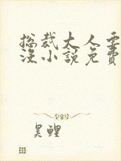 总裁大人要够了没小说免费阅读全文