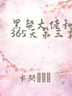 黑帮大佬和我的365天第三季在线免费观看