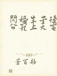 闪婚生子后被老公宠上天电视剧