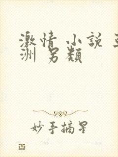 激情 小说 亚洲 另类