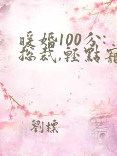 暖婚100分:总裁,轻点宠txt