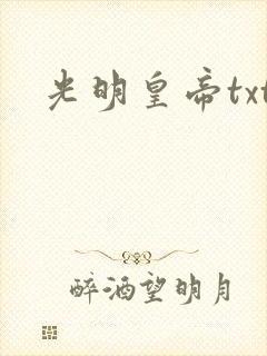 光明皇帝txt