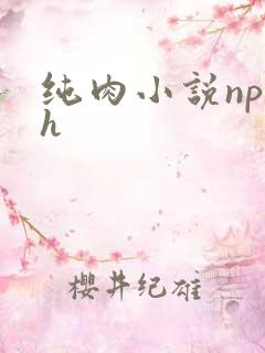 纯肉小说np高h