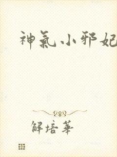 神气小邪妃