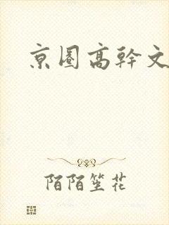 京圈高干文h