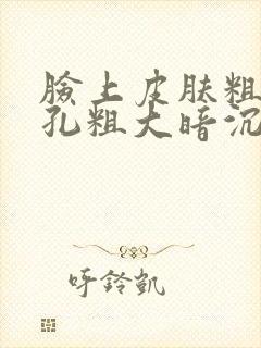 脸上皮肤粗糙毛孔粗大暗沉