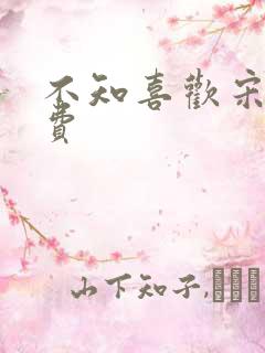 不知喜欢宋棉免费