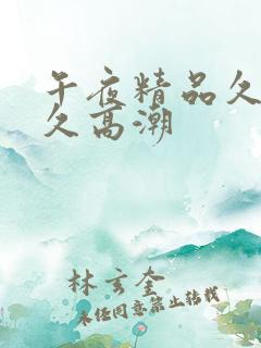 午夜精品久久久久高潮