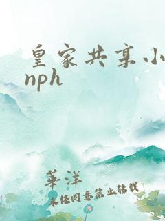 皇家共享小公主nph