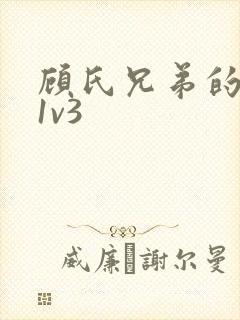 顾氏兄弟的南宁1v3