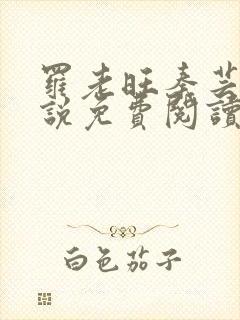 罗老旺秦芸雨小说免费阅读最新章节