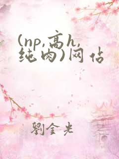 (np,高h,纯肉)网站