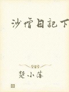 沙僧日记下载