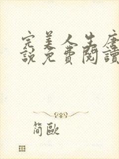 完美人生唐诚小说免费阅读