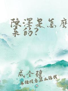 陈泽是怎么火起来的?