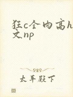 狂c全肉高h辣文np