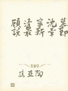 顾清宁沈慕寒小说最新章节更新免费