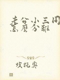 老公小三同居了怎么分离