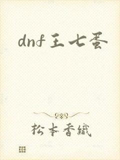 dnf王七蛋