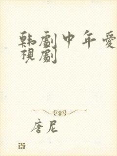 韩剧中年爱情电视剧