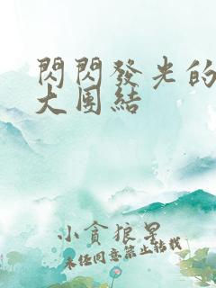 闪闪发光的小说大团结