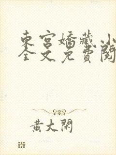 东宫娇藏小说 全文免费阅读