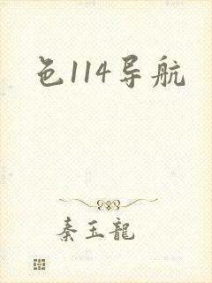 色114导航